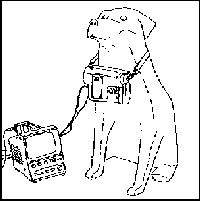 [improved guard dog]