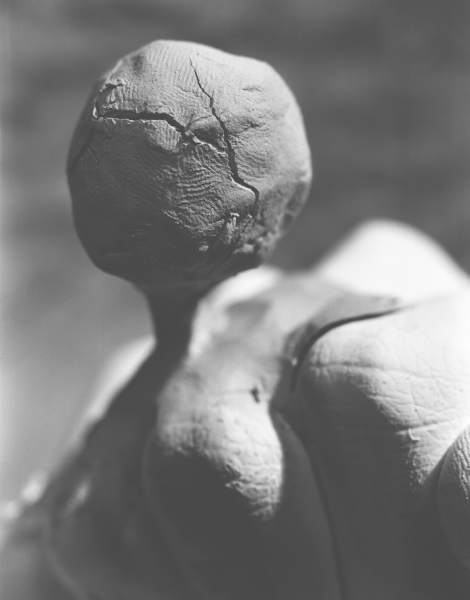 [image by Jake Scholl]