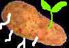 [Shuko Wada Potatoes]