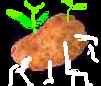 Shuko Wada Potatoes