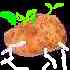 Shuko Wada Potatoes