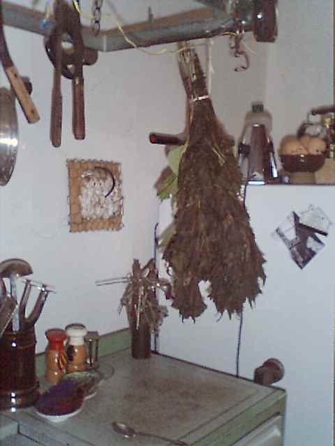 Basil drying, 11/14/00