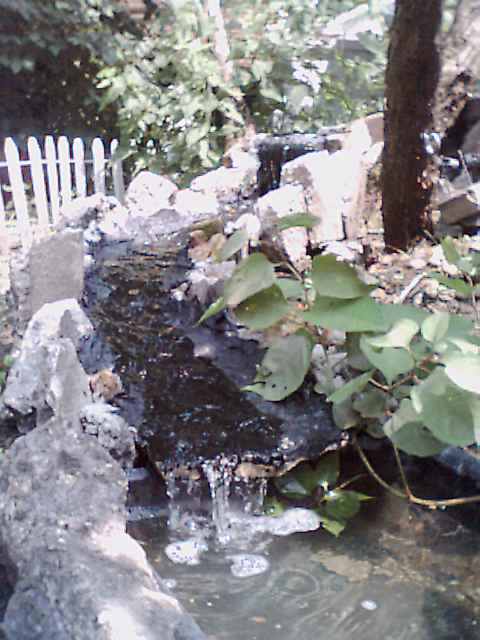 Lower Falls