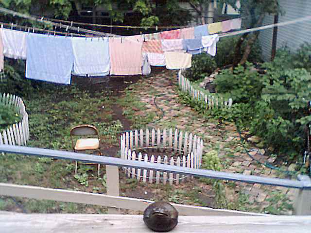 backyard, 8/19/00