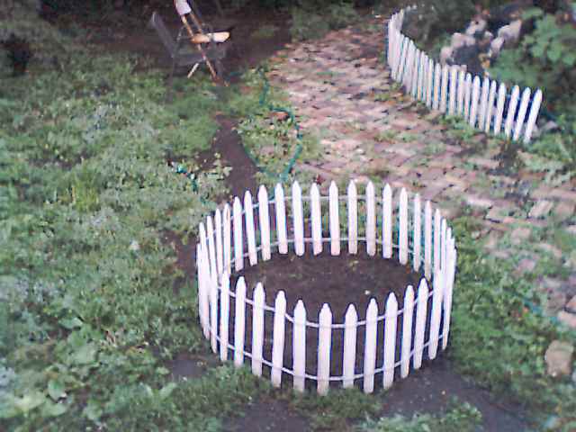 [Zucchini Area]